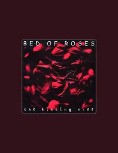 Poslechněte si interpreta Bed of Roses, sledujte hudební videa, přečtěte si životopis, podívejte se na data turné a další informace.