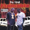 Flamable, 2004