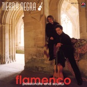 Furia Flamenca- Passionate and Soulful artwork