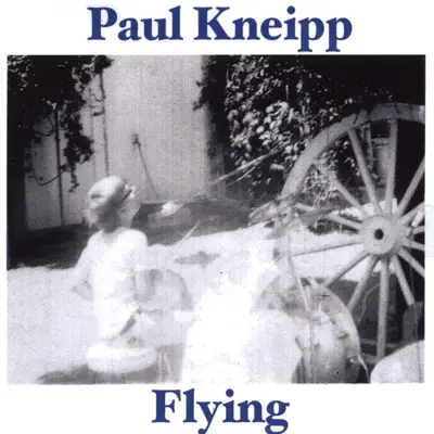 Listen to Flying by Paul Kneipp