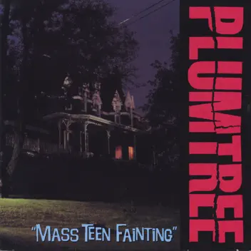 Mass Teen Fainting album cover