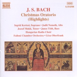 J.S. Bach - Christmas Oratorio: Part II: Sinfonia