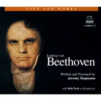 Violin Concerto in D major, Op. 61: 3. Rondo: Allegro — Slovak Philharmonic Orchestra/Takako Nishizaki/Kenneth Jean