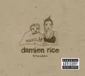 DAMIEN RICE