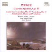 Clarinet Quintet In B Flat Major, Op. 34, J. 182: III. Menuetto: Capriccio Presto artwork