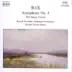 Symphony No. 3: II. Lento song reviews