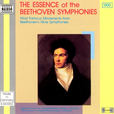 The Essence of the Beethoven Symphonies