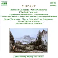Concerto for Bassoon and Orchestra in B-Flat Major, K. 191: I. Allegro — Johannes Wildner, Stepan Turnovsky & Vienna Mozart Academy