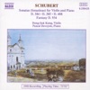 Dong Suk Kang Violin Sonata (Sonatina) in D Major, D. 384: Allegro Molto Schubert: Sonatas (Sonatinas) for Violin and Piano