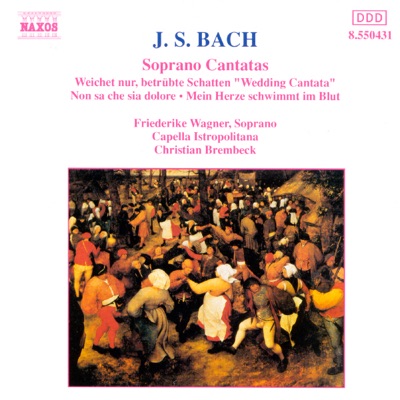 Bach: Soprano Cantatas