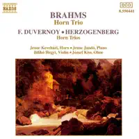 Trio for Horn, Violin and Piano in E-Flat Major, Op. 40: I. Andante — Ildiko Hegyi, Jenoe Keveházi & Jenő Jandó