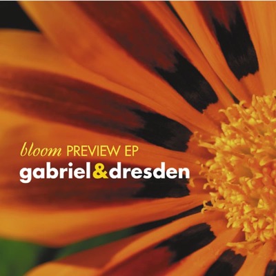 Bloom (Preview) - EP