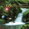 Dean Evenson - Bliss Rain Mist