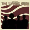 WAKING EYES