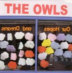 Owls - Air