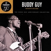 Buddy Guy - My Time After Awhile