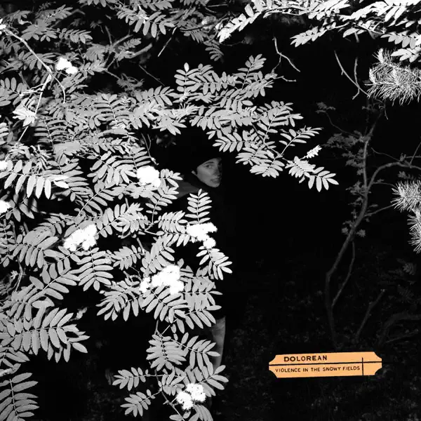 The Search — Dolorean