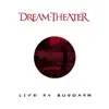 Dream Theater - Hollow Years (Live)