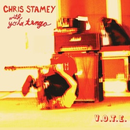 V.O.T.E. (Public Service Announcement) Chris Stamey & Yo La Tengo