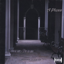 Hands Down A Pluss & Serious Voice