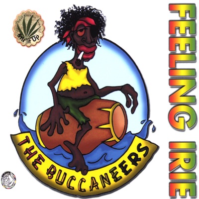 Feeling Irie - EP