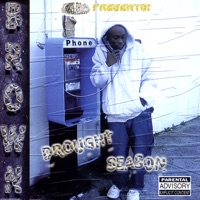 Drought Season - Brown