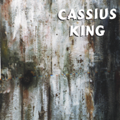 Cover art for Stone Boy by Cassius King