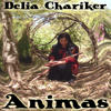 Turtle Medicine - Delia Chariker new Single
