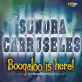 sonora carruseles