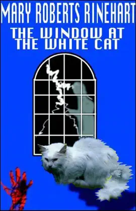 The Window at the White Cat (Jimcin Edition) (Unabridged)
