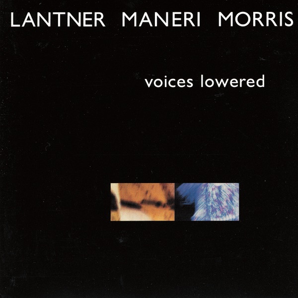 Обложка альбома «Voices Lowered» — Steve Lantner, Joe Maneri & Joe Morris