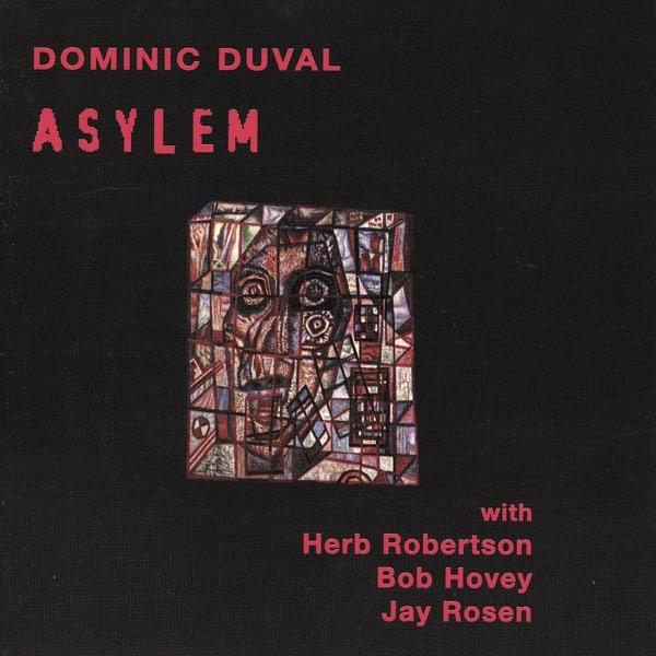 Обложка альбома «Asylem» — Dominic Duval with Herb Robertson, Bob Hovey and Jay Rosen
