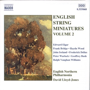 English String Miniatures, Vol. 2