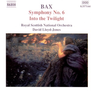 Symphony No. 6 - Into The Twilight