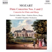 Flute Concerto No. 1 in G Major, K. 313: III. Rondo: Tempo Di Menuetto artwork