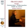Liszt: Piano Music Vol. 20