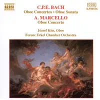 Oboe Concerto in D Minor: II. Adagio