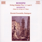 Sonata No. 1 in G: II. Andantino artwork
