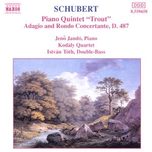 Schubert: 'Trout' Quintet