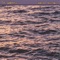 Divine Fire - ZE MANEL lyrics