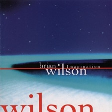 Brian Wilson - South American