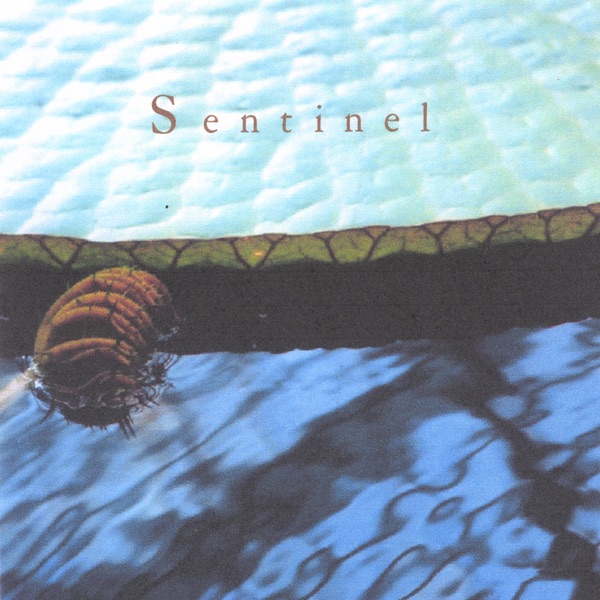 Обложка альбома «Sentinel» — Sentinel