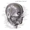 Phideaux - Feel the Radiation