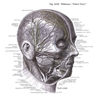 Beyond the Shadow of Doubt