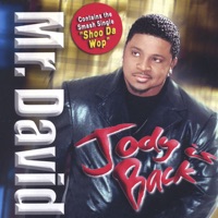 Mr. DAVID - Shoo Da Wop( Original)