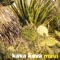 Tic - Kava Kava lyrics