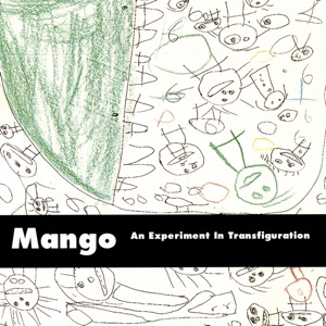 An Experiment In Transfiguration