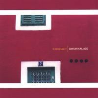 In Retrospect - Damjan Krajacic