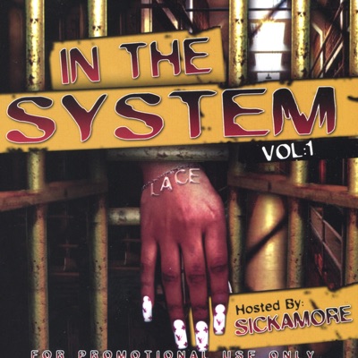 In the System Vol.1