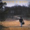 Culver County - Hogan's Goat lyrics